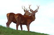 Bardia National Park Tour Packages, 3 Nights 4 Days