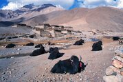 Trek du Dolpo intérieur, 25 Jours