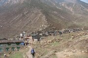 Tsum Valley and Manaslu Trek traverse Larkya-La Pass, 23 Days