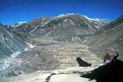 Tsum Valley and Manaslu Trek traverse Larkya-La Pass, 23 Days