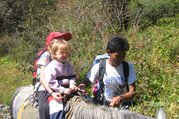 Pferdetrekking ins Langtang Tal (mit oder ohne Kinder), 11 Tage