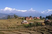 Dhampus-Australian Camp Trek für Familien, 7 Tage