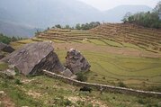 Panchase Trekking, 8 Tage