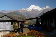 Annapurna Foothills Trek für Familien, 8 Tage