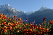 Annapurna Foothills Trek für Familien, 8 Tage