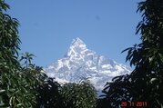 Dhampus-Australian Camp Trek für Familien, 7 Tage