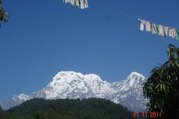 Dhampus-Australian Camp Trek für Familien, 7 Tage