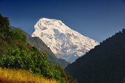 Annapurna Basislager Kurztrek, 10 Tage