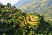 Annapurna Basislager Kurztrek, 10 Tage