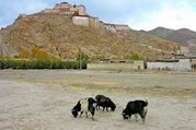 Circuit terrestre Tibet Lhassa EBC Kailash Katmandou, 14 Jours (Voyage privé ou en groupe)