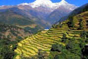 Ghandruk Loop Trek pour les familles, 9 Jours