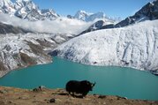 Renjo-La Pass Trekking (North of Namche Bazzar), 14 Days