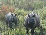 Chitwan National Park Tour Package, 3 Nights 4 Days