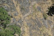Tsum Valley Trek, 16 Days 