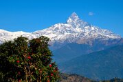 Day Hikes from Pokhara for families, 7 Days