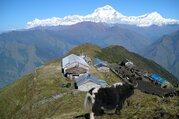 Khopra Danda (Ridge) Trek pour les familles (au sud des Annapurnas), 11 Jours
