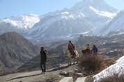 Jomsom Muktinath Trek for families (Perfect Holiday for Monsoon), 10 Days 