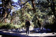 Jomolhari Trek mit Besichtigungen in Paro und Thimphu, 12 Tage