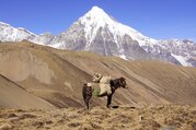 Jomolhari Trek mit Besichtigungen in Paro und Thimphu, 12 Tage