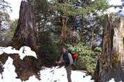 Panch Pokhari (Fünf Seen) Trekking, 10 Tage