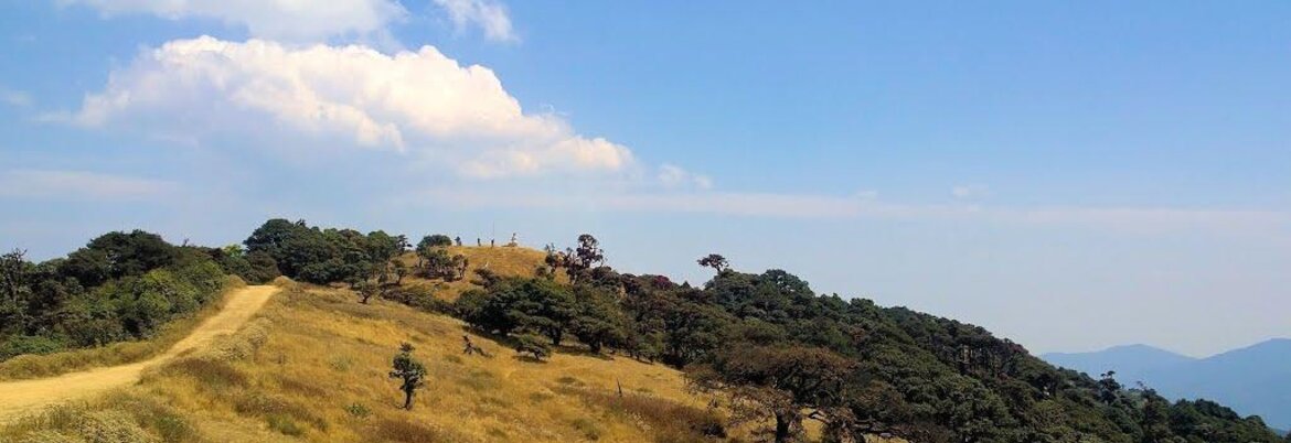 Book Now Trekking to Chin Hills (Mt. Victoria)  (9 Days / 8 Nights)