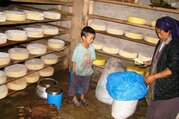 Numbur Cheese Circuit Trek, 14 Tage