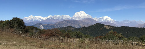 Mohare Danda Community Eco-Trail Trek for Families