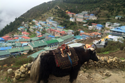 Everest Luxus Lodge Trekking, 10 Tage