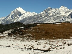 Yuksom-Dzongri Trekking, 13 Jours