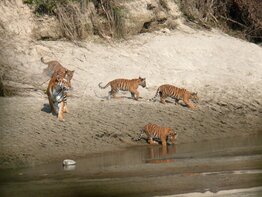 Bardia National Park Tour Package - 4 Nights 5 Days