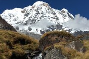 Trek Camp de base avec des enfants d'Annapurna, 14 Jours