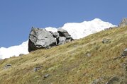 Annapurna Basislager Kurztrek, 10 Tage