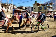 Annapurna Circuit Mountain Biking Tour, 16 Days