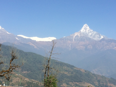 Trek Du Lodge De Luxe Dans L'annapurna, 10 Jours