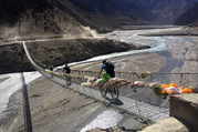 Upper Mustang Mountain Biking Tour, 16 Days