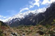 Kanchenjunga Basislager Trekking, 24 Tage