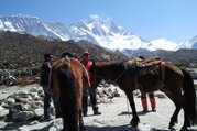 Reiten zum Mount Everest Basislager, 15 Tage