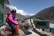 Reiten zum Mount Everest Basislager, 15 Tage