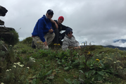 Pikey Gipfel Trekking (Unten Khumbhu Region/Solu), 9 Tage