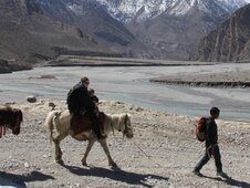 Jomsom Muktinath Trek For Families (Perfect Holiday For Monsoon), 10 Days 
