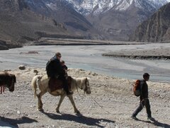 Jomsom Muktinath Trek pour les familles (Vacances parfaites pour la mousson), 10 Jours