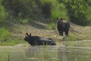 Bardia National Park Tour Packages, 3 Nights 4 Days