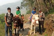 Pferdetrekking zum Annapurna Panorama (mit oder ohne Kinder), 10 Tage