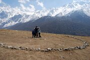 Trek dans la vallée du Langtang pour les familles, 10 Jours