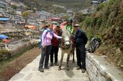 Pferdetrekking zum Everest Panorama (mit oder ohne Kinder), 10 Tage