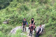Pferdetrekking zum Annapurna Panorama (mit oder ohne Kinder), 10 Tage