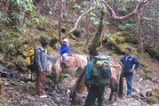Pferdetrekking ins Langtang Tal (mit oder ohne Kinder), 11 Tage