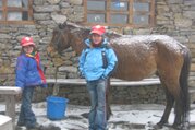 Pferdetrekking ins Langtang Tal (mit oder ohne Kinder), 11 Tage