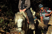 Pferdetrekking ins Langtang Tal (mit oder ohne Kinder), 11 Tage