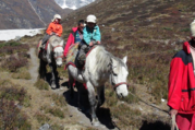Pferdetrekking ins Langtang Tal (mit oder ohne Kinder), 11 Tage